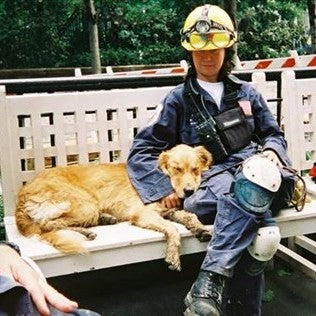 Remembering the Dogs of 9/11