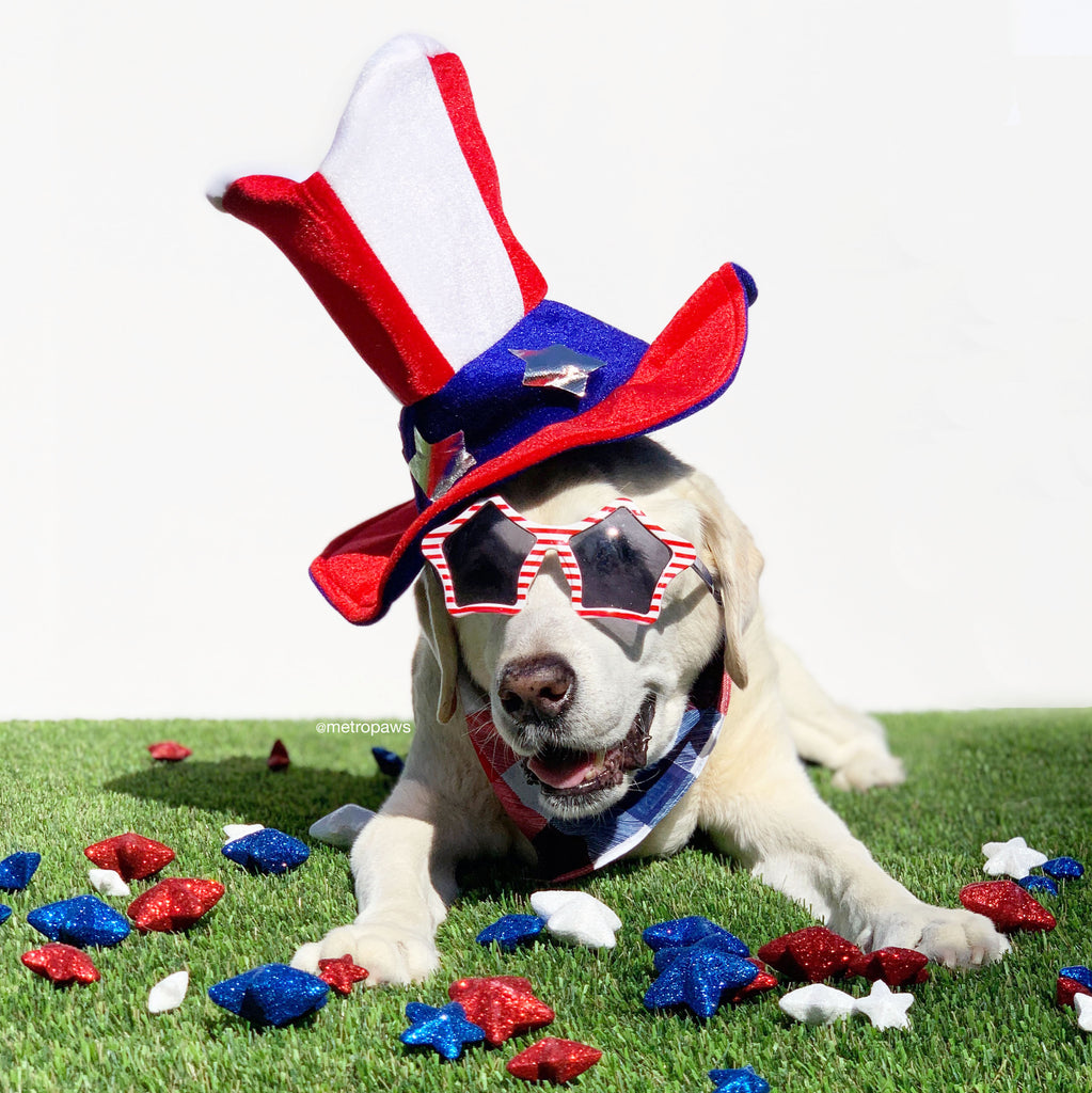 A Fido-Friendly Fourth of July