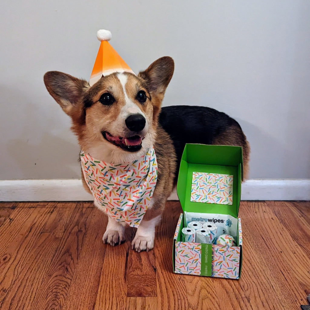 We Love Spoiling Our Pups!
