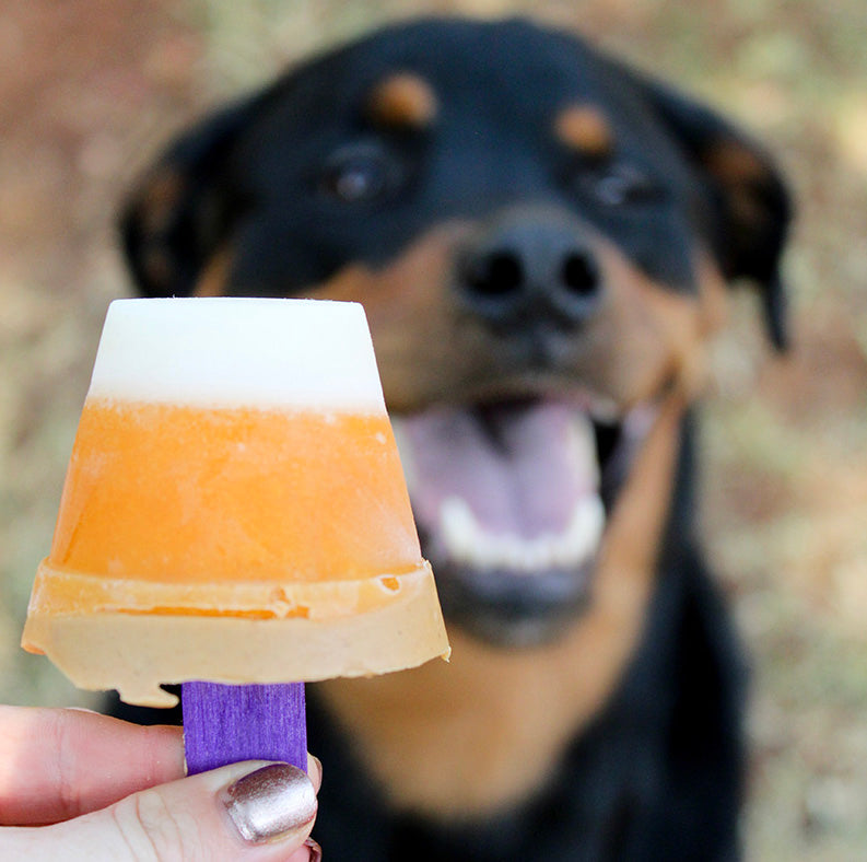 12 Pawfect Halloween Dog Treats