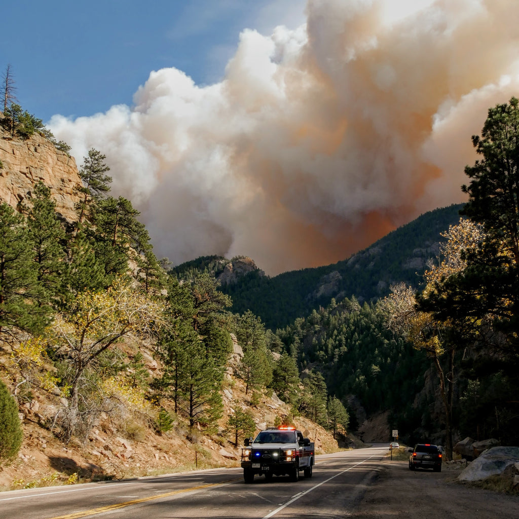 Pets & Wildfire Smoke